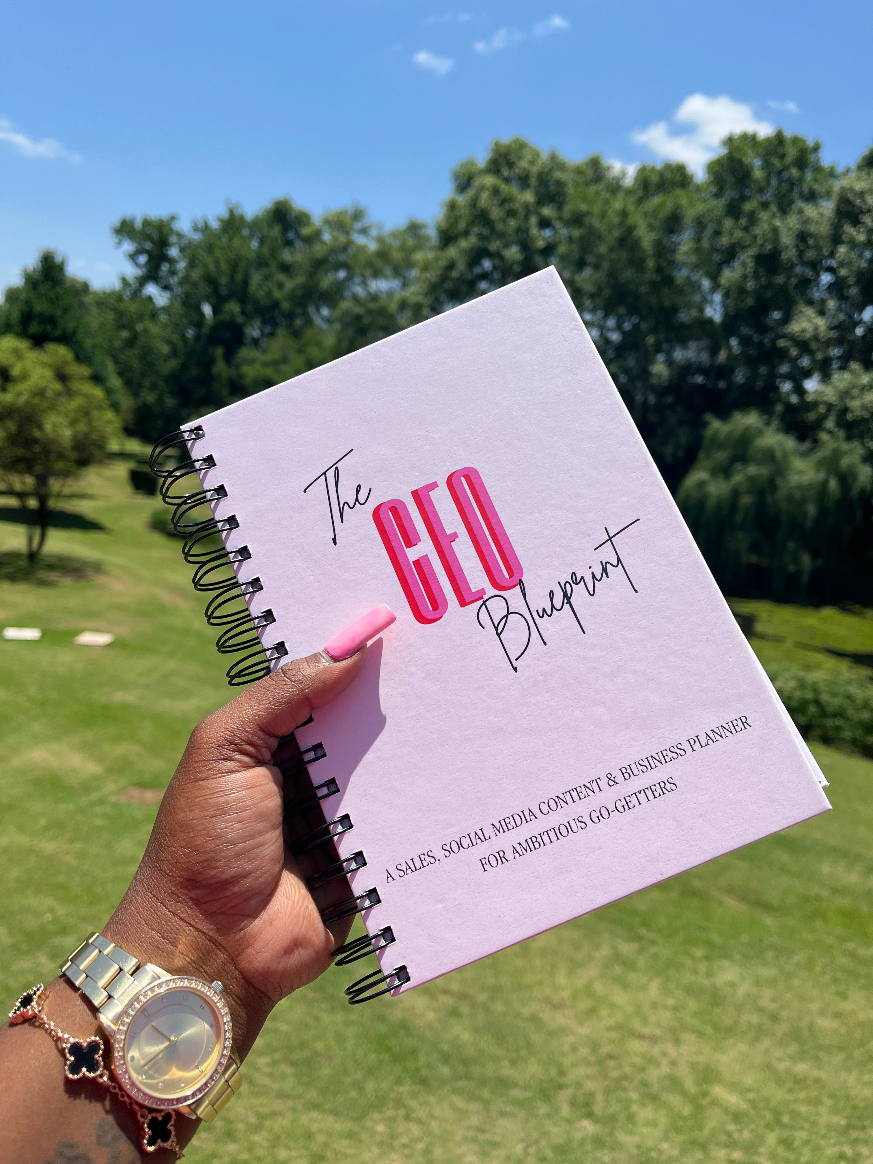 CEO's guide to business planning and sales strategies.