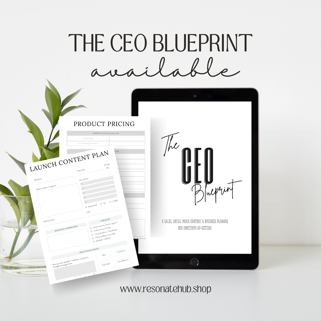 The CEO Blueprint