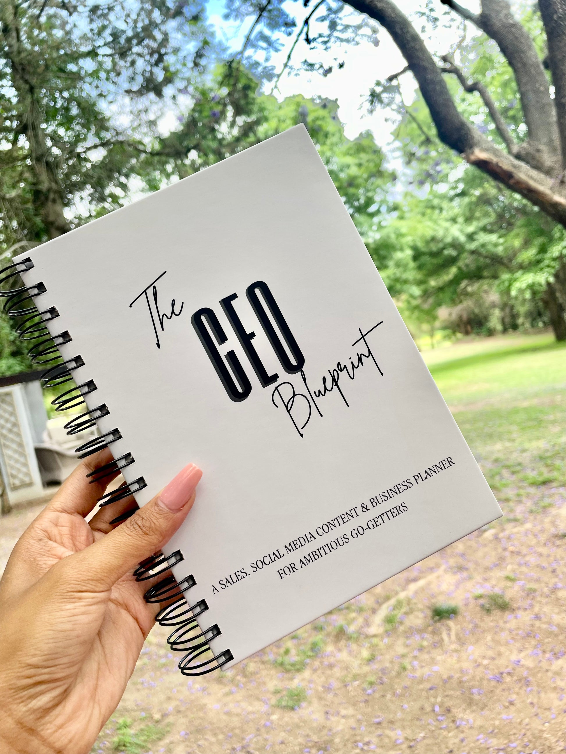 The CEO Blueprint – RESONATE HUB